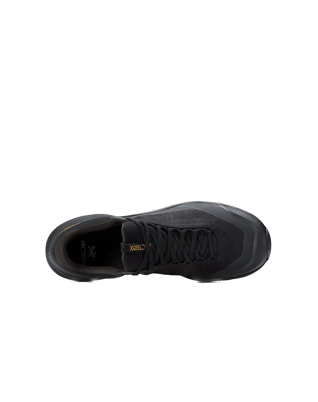 Arc'teryx Men's Aerios GTX Shoe