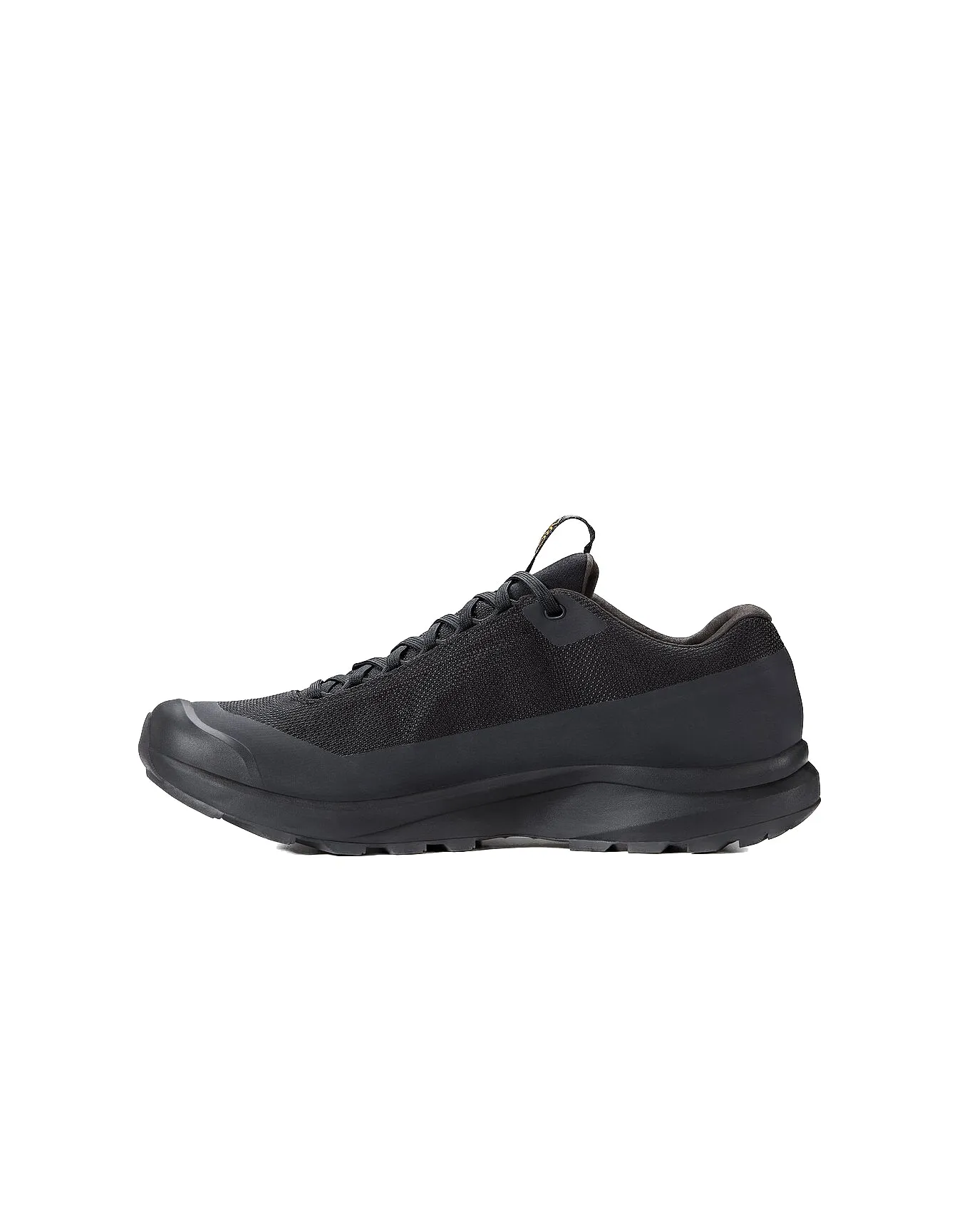 Arc'teryx Men's Aerios GTX Shoe